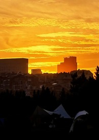 ����ҹ��