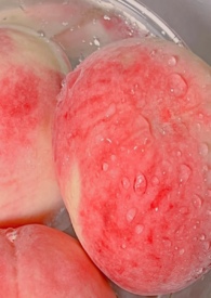 ���ң���Ůh��