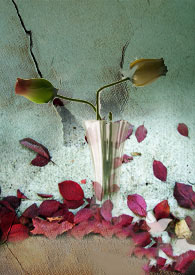 ���½����Ժ�