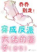 ���ɷ��ɴ��е����ӣ����飩