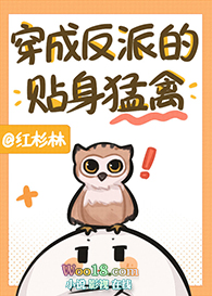 ���ɷ��ɵ���������