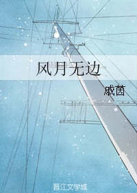 �����ޱ�