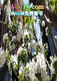 ��������NPH��