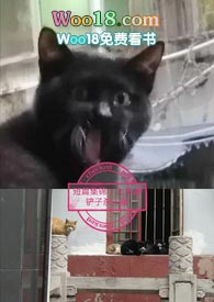 ��ƪ����