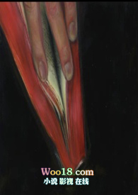 ��������䣨��ƪ����