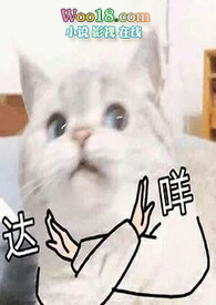 ������ ���Ȼ�� 1V1��