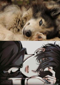 �󽿣�NPH&nbsp;&nbsp;��ͼ��