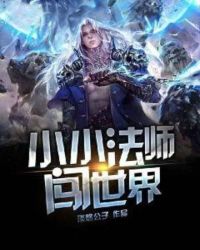 СС��ʦ������