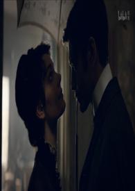 ���㣨��ֶ�ǿƣ�