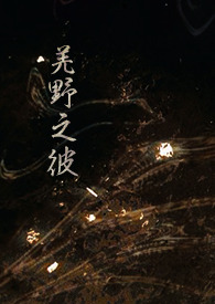 ǼҰ֮�ˣ�NP��