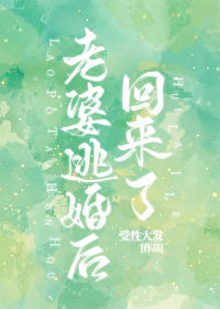 �����ӻ�������